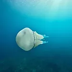 بيت للعطل Mena Me - Casa - Salento *